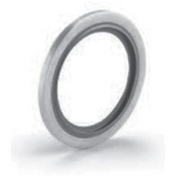 PANAM Sealing Gaskets for Parallel Threads | ASSINOV