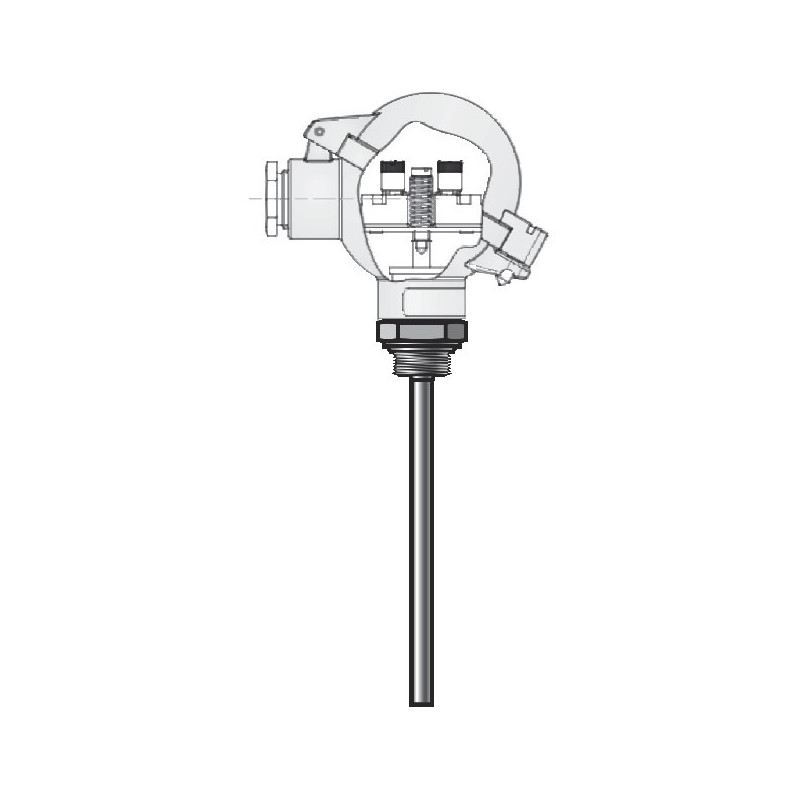 PANAM Compact Temperature Transmitters PTT-302 | ASSINOV