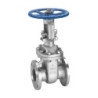 Stainless Steel Flanged Gate Valve
