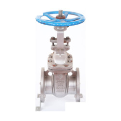Stainless Steel Flanged Gate Valve