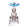 Stainless Steel Flanged Gate Valve