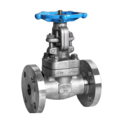 Forged Steel Gate Valve