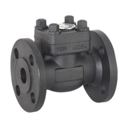 Forged Steel Check Valve, Lift and Swing