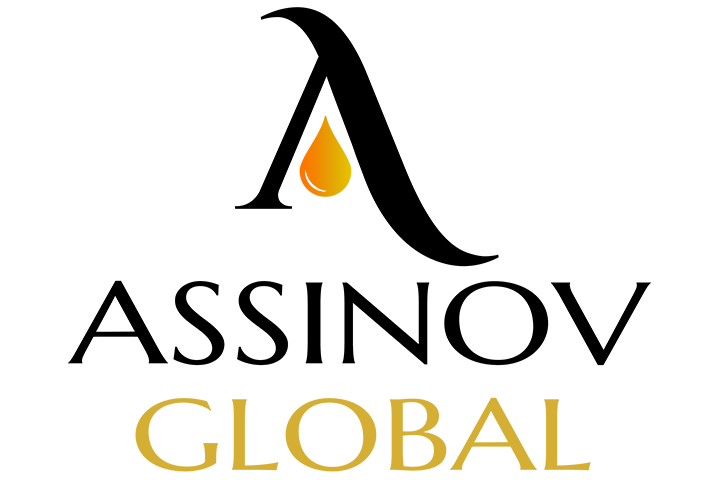 ASSINOV GLOBAL FZCO