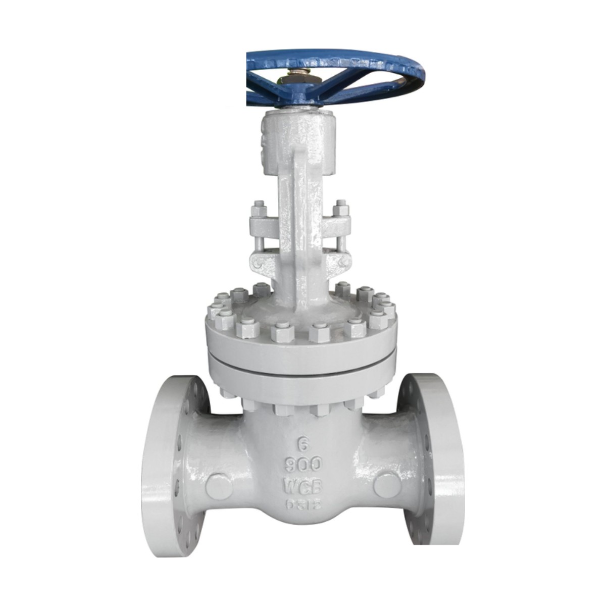 Gate, Globe, Check Valves & Strainers